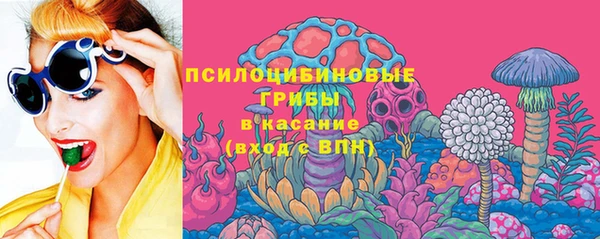 a pvp Аркадак