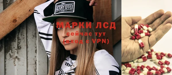 a pvp Аркадак