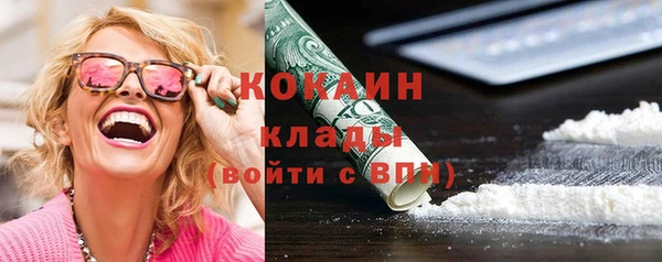 крисы Покачи
